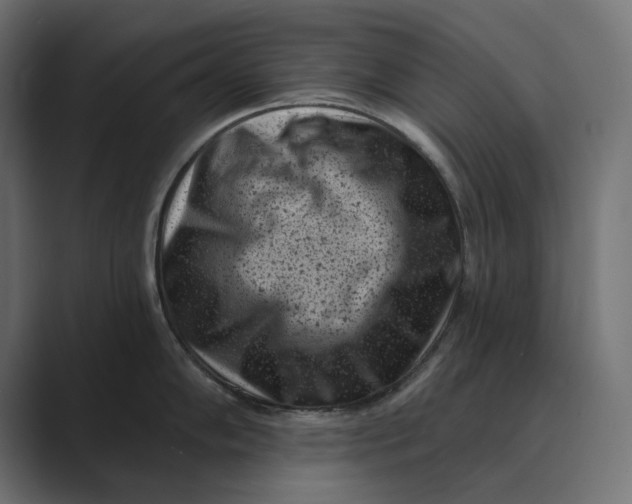 X0000088921102200706291523