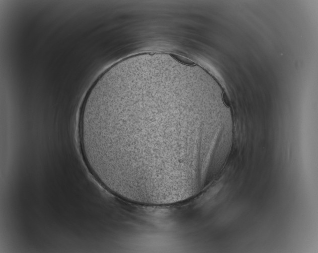 X0000088921103200706291523