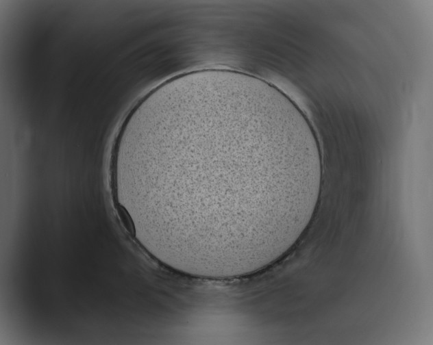 X0000088921104200706291523