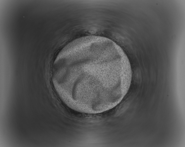X0000088921105200706291522