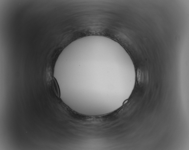 X0000088921107200706291522