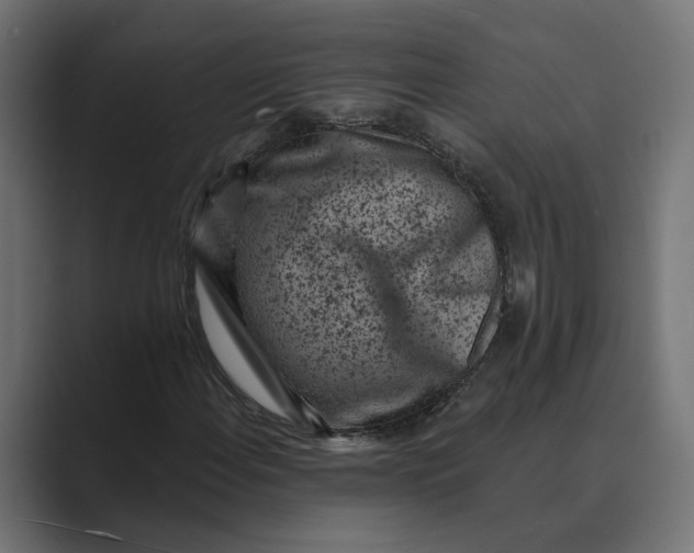 X0000088921108200706291522
