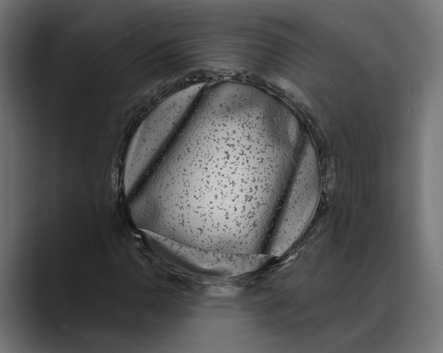 X0000088921110200706291522