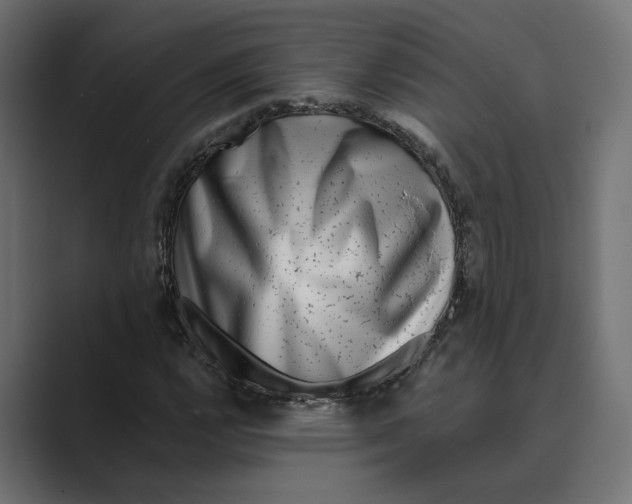 X0000088921112200706291522