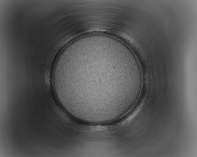 X0000088921113200706291522
