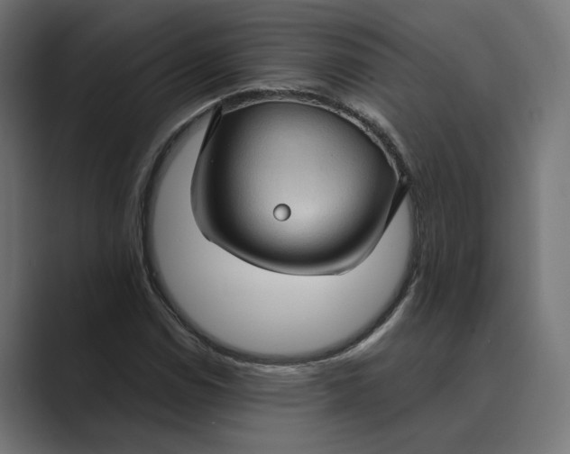 X0000088921114200706291522
