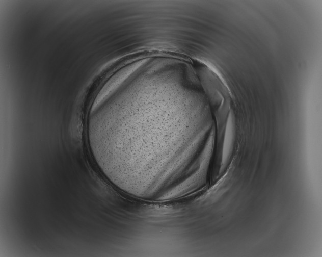 X0000088921115200706291522