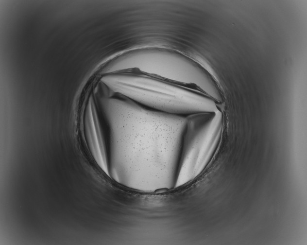 X0000088921116200706291522