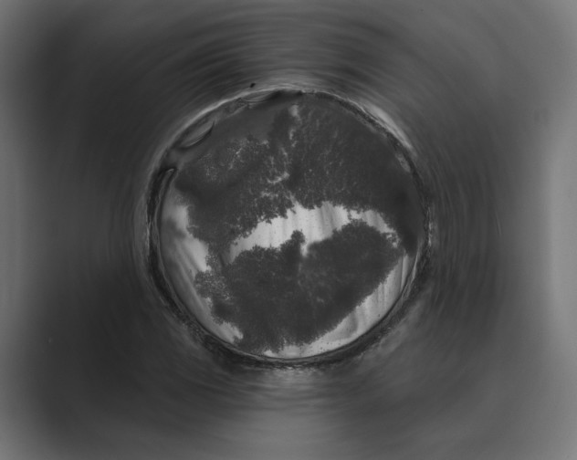 X0000088921117200706291522