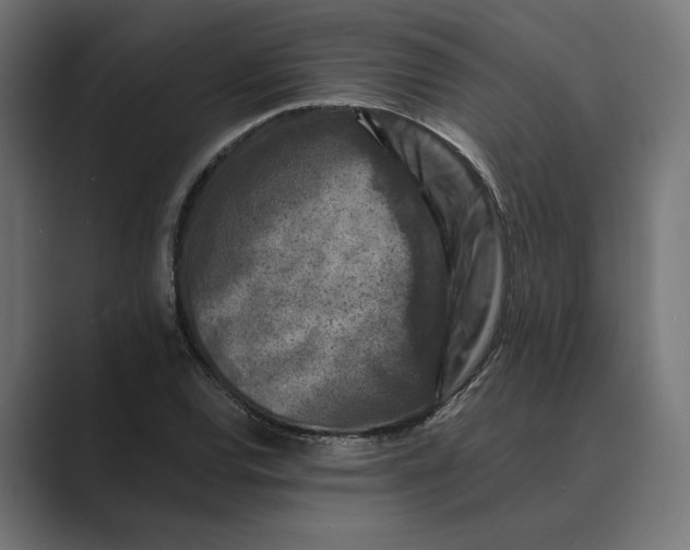 X0000088921120200706291522