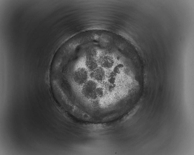 X0000088921121200706291522