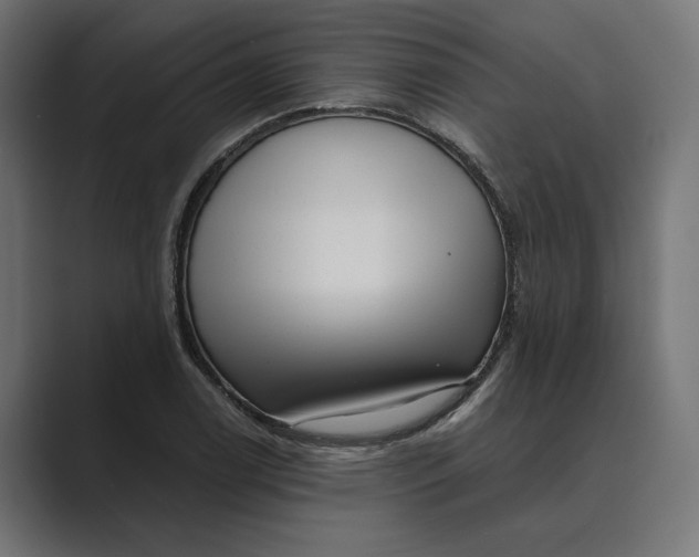 X0000088921122200706291522