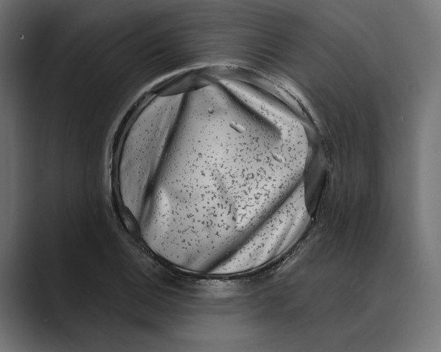 X0000088921124200706291522