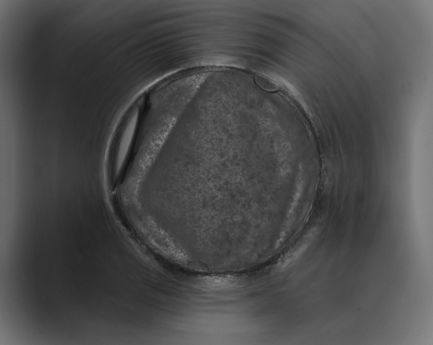X0000088921125200706291522