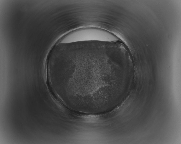 X0000088921127200706291522