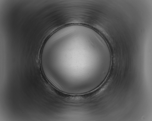 X0000088921129200706291522
