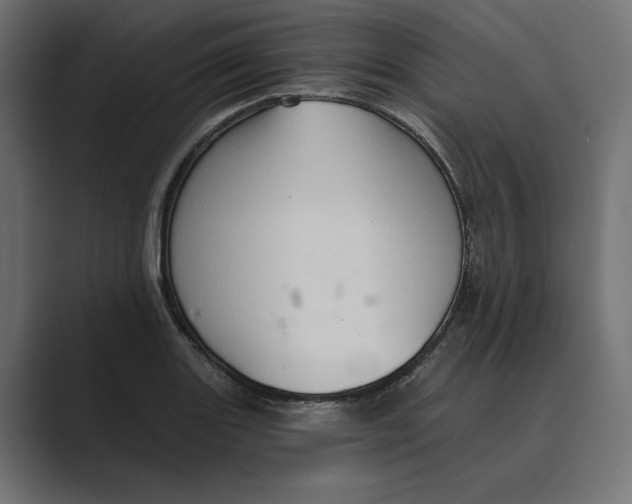 X0000088921131200706291522