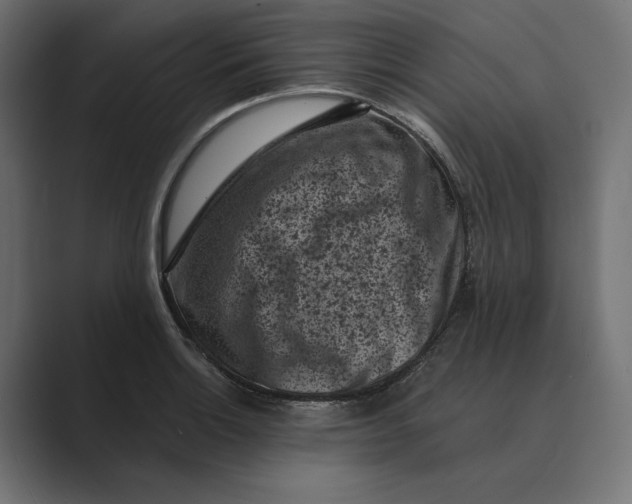 X0000088921132200706291522