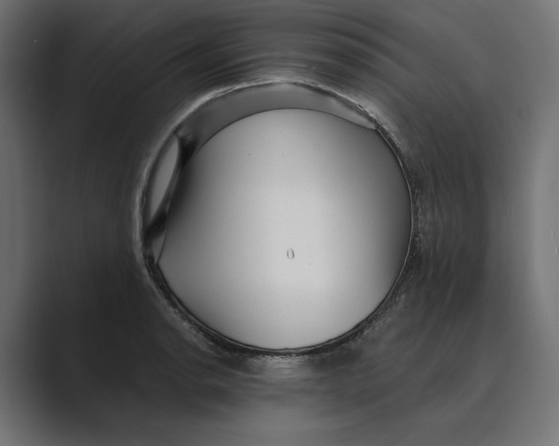 X0000088921134200706291522