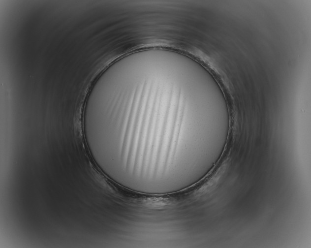 X0000088921137200706291522