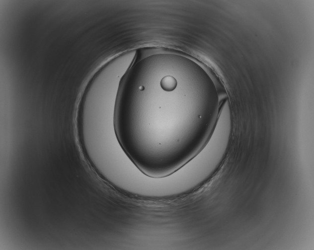 X0000088921138200706291522