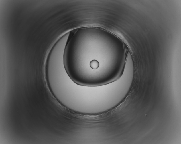 X0000088921140200706291522