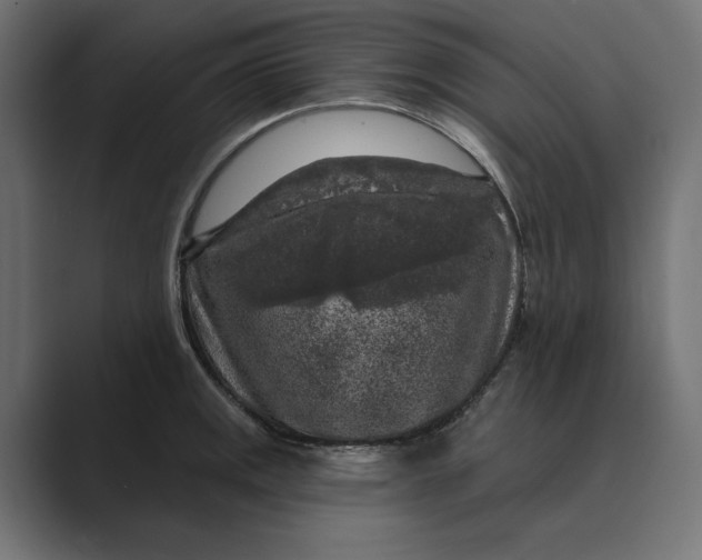 X0000088921141200706291522