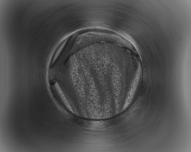 X0000088921144200706291522