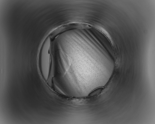 X0000088921146200706291522