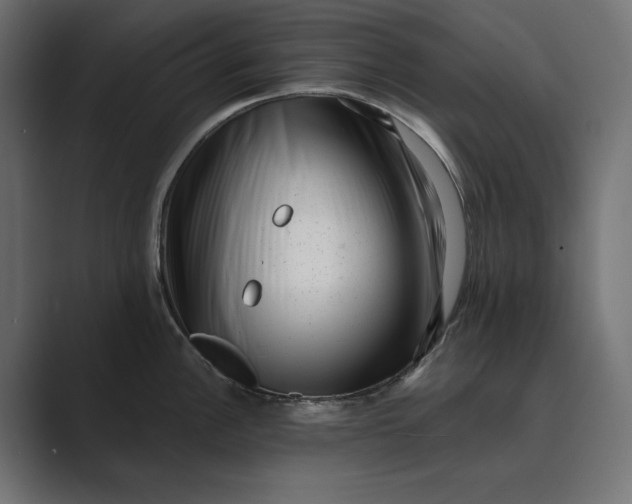 X0000088921148200706291522