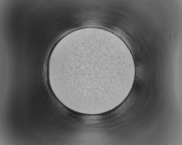 X0000088921150200706291522