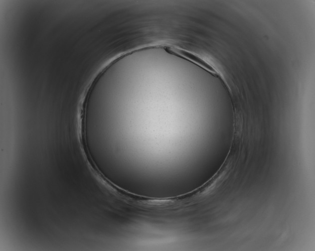 X0000088921151200706291522