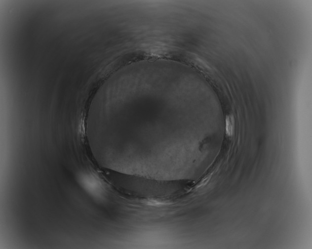 X0000088921155200706291522