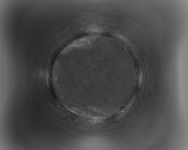 X0000088921157200706291522