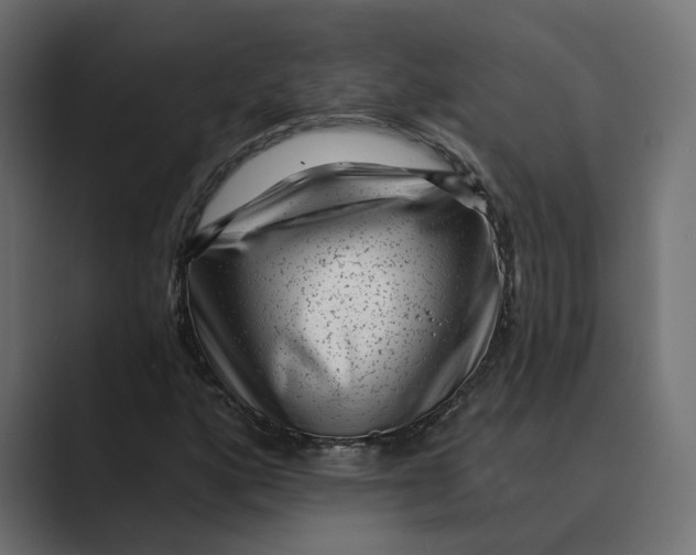 X0000088921160200706291522