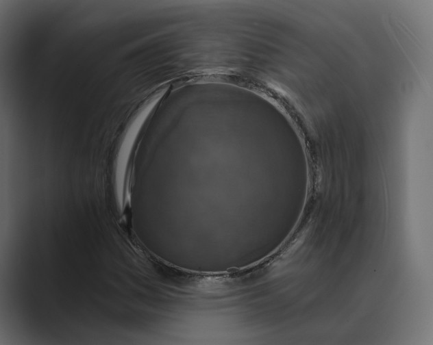 X0000088921161200706291522
