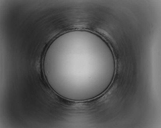 X0000088921162200706291522