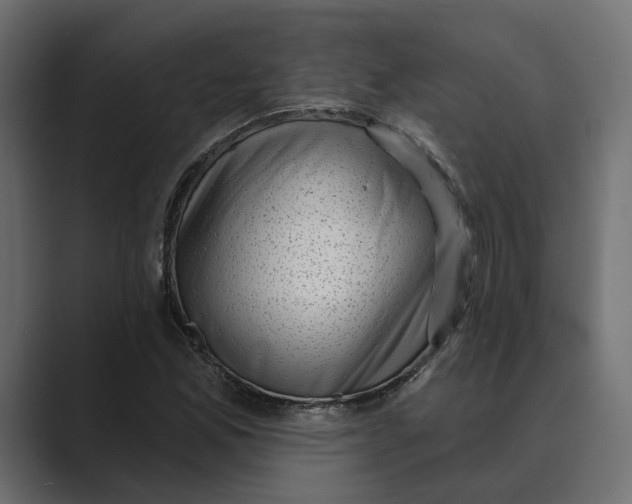 X0000088921165200706291522