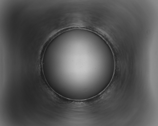 X0000088921168200706291522