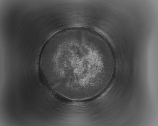 X0000088921170200706291522