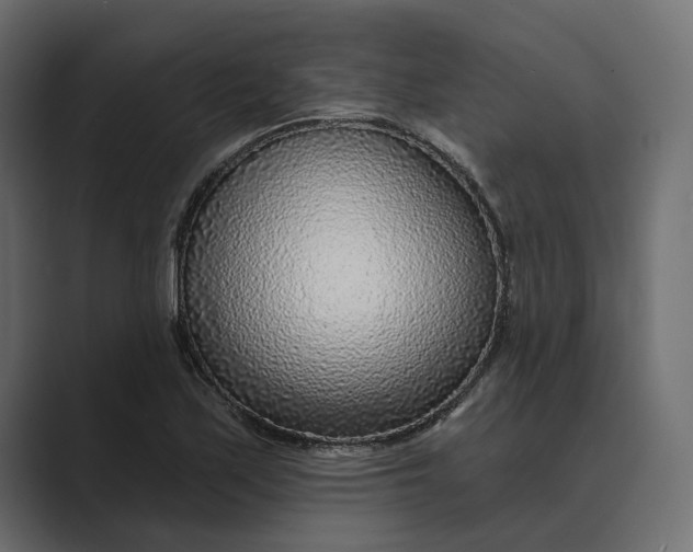 X0000088921171200706291522