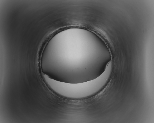 X0000088921172200706291522