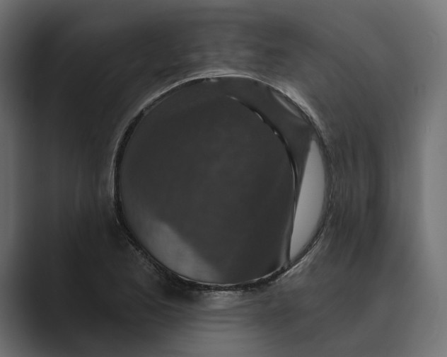 X0000088921173200706291522