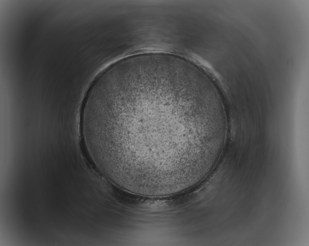 X0000088921174200706291522