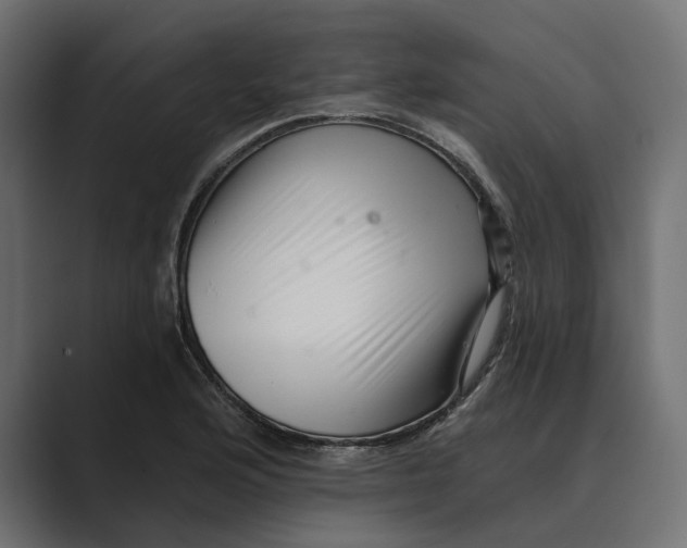 X0000088921176200706291522