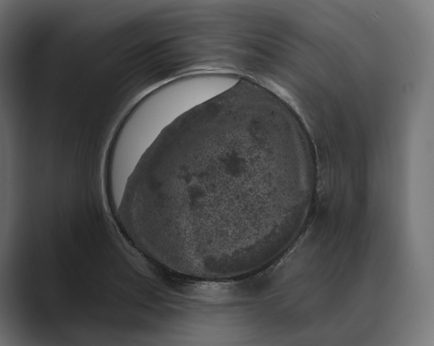 X0000088921179200706291522