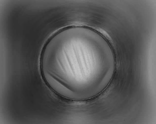 X0000088921183200706291522