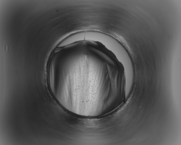 X0000088921184200706291522