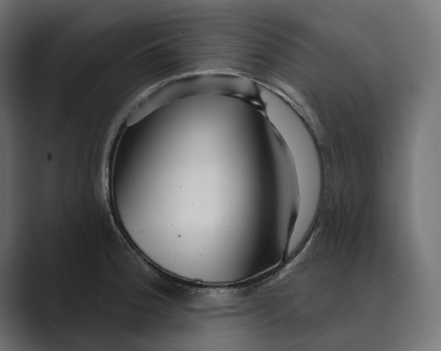 X0000088921188200706291522