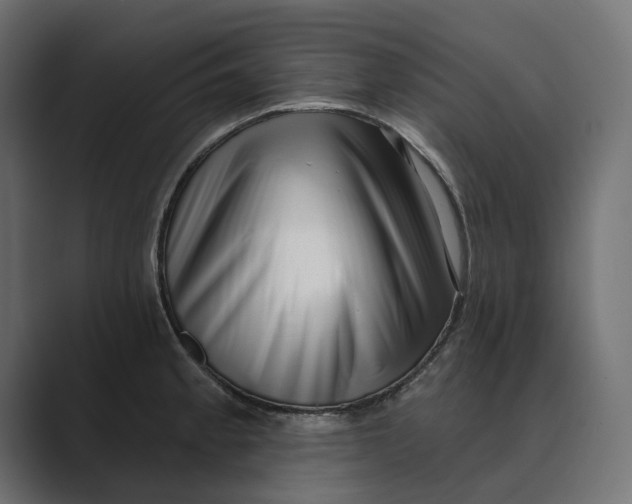 X0000088921189200706291522